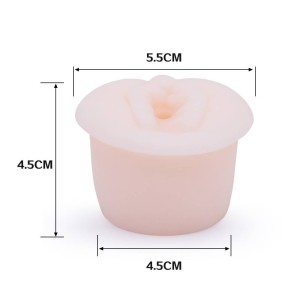 Bomba Peniana Manual