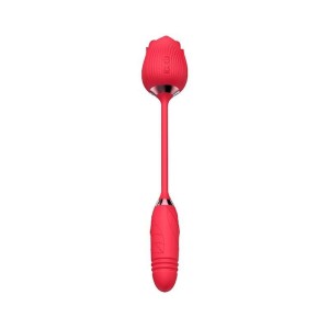 Vibrador Rosa com Vai e Vem
